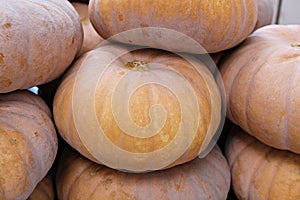 ItÃ¢â¬â¢s a korea crop